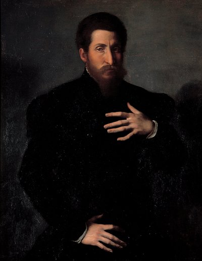 Portrait of a Virile Man by Girolamo da Carpi